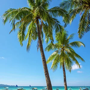 Boats and palm trees on White Beach, Boracay Island, Aklan Province, Western Visayas