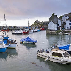 Boats in Polperro harbour, Cornwall, England. Spring (May) 2015