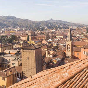 Bologna cityscape from San Petronio with San Luca hills in the background