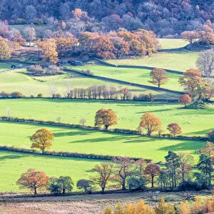 Borrowdale valley in autumn, near Keswick and Derwentwater, Cumbria, England