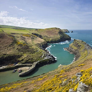 Boscastle Harbour from Penally Hill, North Cornwall, England. Spring (April) 2009