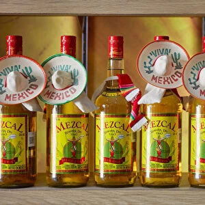 Bottles of Mezcal inside a shop in Holbox, Quintana Roo, Yucatan, Mexico