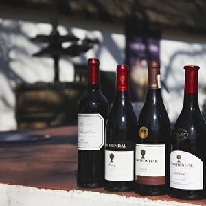 Bottles of wine at Boschendal Wine Estate, Franschhoek, Western Cape, South Africa