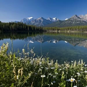 Bow Mountain Range and Herbert Lake