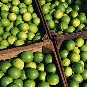 Boxes of limes