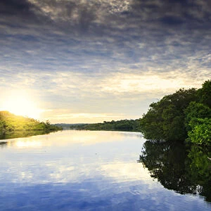 Brazil, Brazilian Amazon, Amazonas state, Amazon Ecopark lodge scenes
