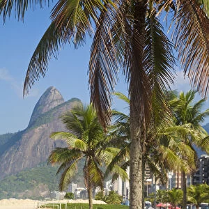 Brazil, Rio De Janeiro, Leblon beach, Bike leaning on palm tree