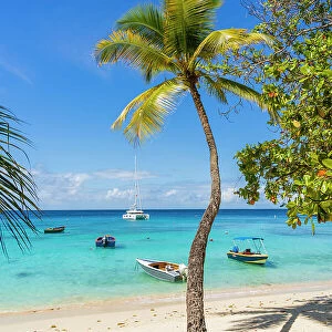 Britania Bay, Mustique, Grenadines, Saint Vincent and the Grenadines Islands, Caribbean