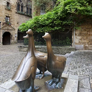 Bronze statue closeup of goose. Place du marchAo aux oies