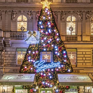 Buildings facace decorated with Christmas tree, Vienna, Austria