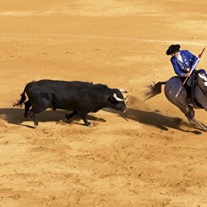 Bullfight, Jerez de la Frontera, Cadiz Province, Andalusia, Spain