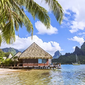 Bungalow in a resort, Cooks bay, Moorea, French Polynesia