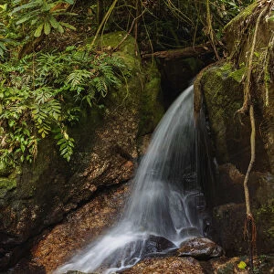 Cachoeira do Jequitiba, waterfall, Tijuca Forest National Park, Rio de Janeiro, Brazil