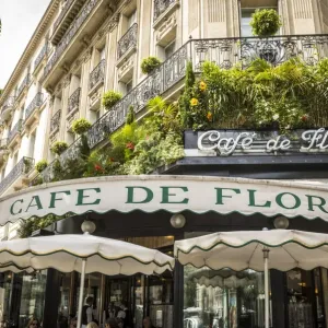 Cafe de Flore, Boulevard St Germain, Rive Gauche, Paris, France Cafe de Flore, Boulevard St Germain, Rive Gauche, Paris, France