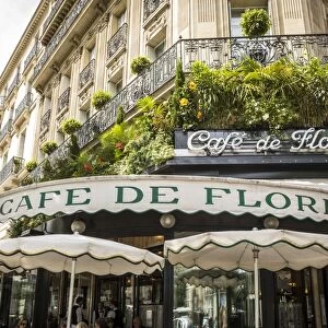 Cafe de Flore, Boulevard St Germain, Rive Gauche, Paris, France