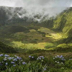 Caldeira do Faial. Faial, Azores Islands