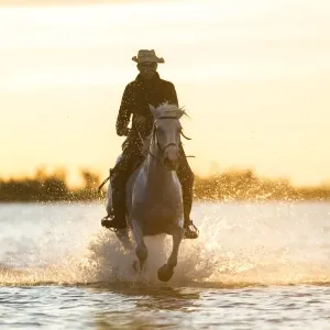 Camargue Print: Gardian with Horse Camargue Print: Gardian with Horse
