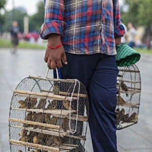 Cambodia, Phnom Penh, vendor with wishing birds, buy a bird, make a wish and set him free