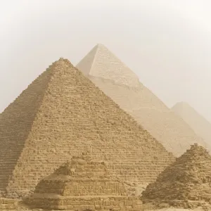 Camels pass in front of the pyramids at Giza