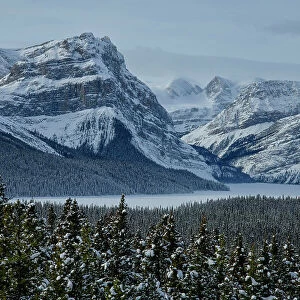 Canada, Alberta, Rocky Mountains, Banff National Park, Icefield Parkway, Bow Lake