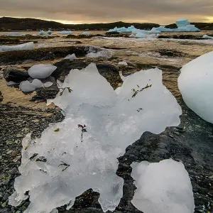 Canada, Maritimes, Newfoundland, Saint Lunaire-Griquet, White Cape Harbour, iceberg Canada, Maritimes, Newfoundland, Saint Lunaire-Griquet, White Cape Harbour, iceberg