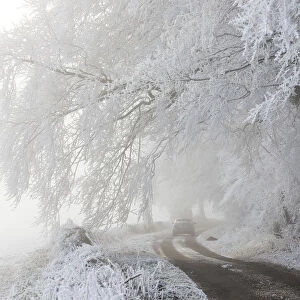 Car in country lane with frost covered trees, nr Wotton, Gloucestershire, UK