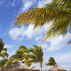Caracol beach, Cancun, Quintana Roo, Mexico