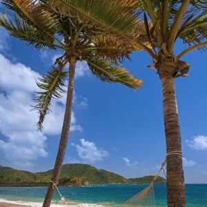 Caribbean, Antigua, Curtain Bluff, Curtain Bluff Beach, Hammock between Palm Trees