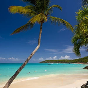 Caribbean, Antigua, Dickinson Bay, Dickinson Bay Beach