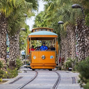 Caribbean, Aruba, Oranjestad, The tourist tram in Wilheminastraat