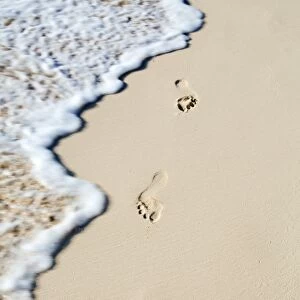 Caribbean, Dominican Republic, La Altagracia province, Punta Cana, Bavaro, footprints