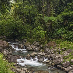 Caribbean, Martinique, Route de la Trace, Riviere Blanche, Alma Waterfall at Pont