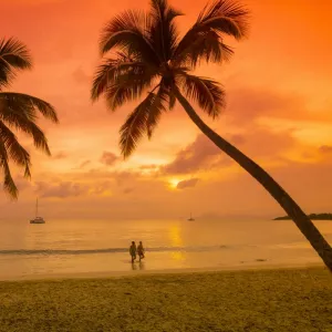 Caribbean, Martinique, Sainte Anne, Grande Anse des Salines