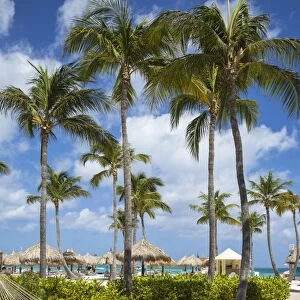 Caribbean, Netherland Antilles, Aruba, Hammock on Palm beach