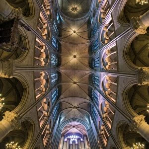 Ceiling of the Notre Dame cathedral, Paris, France