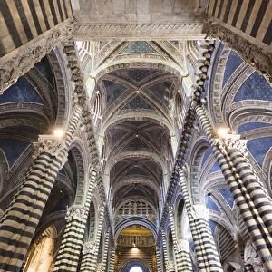Ceiling of Siena Cathedral, Cattedrale di Santa Maria Assunta, Siena, Tuscany, Italy