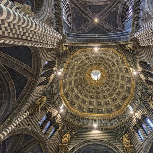 Ceiling of Siena Cathedral, Cattedrale di Santa Maria Assunta, Siena, Tuscany, Italy
