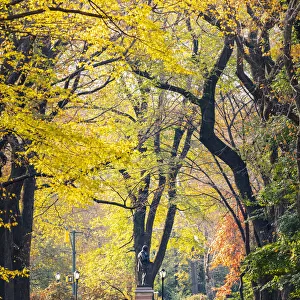 Central Park during autumn, Manhattan, New York, Usa (MR)