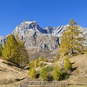 The Cervandone Peak from Alp Crampilo in autumn season, Alpe Veglia