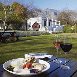 Cheese platter and wine at Blaauwklippen Wine Estate, Stellenbosch, Western Cape
