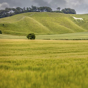 Cherill White Horse, Wiltshire, England