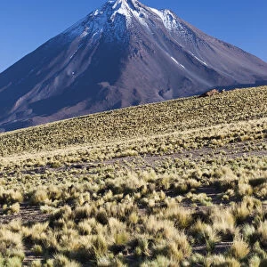 Chile, Atacama Desert, San Pedro de Atacama, Ruta 27 CH highway, view of the Volcan