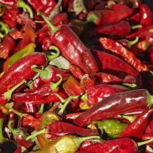 Chili peppers left to dry in the sun, near Cachi, Calchaquai Valley, Salta, Argentina