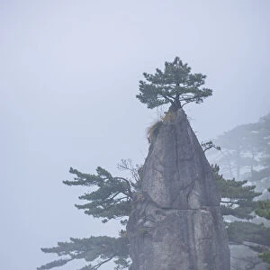China, Anhui Province, UNESCO World Heritage Site, Mount Huangshan, National Park
