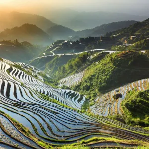 China, Guangxi Province, Longsheng, Long Ji rice terrace filled with water in the