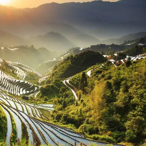 China, Guangxi Province, Longsheng, Long Ji rice terrace filled with water in the