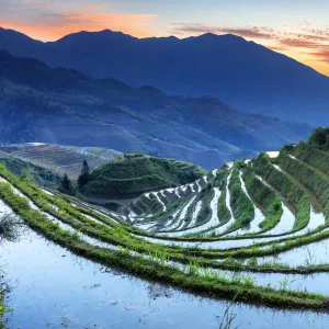 China, Guangxi Province, Longsheng, Long Ji rice terrace filled with water in the