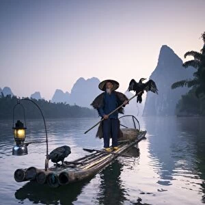 China, Guanxi, Yangshuo. Old chinese fisherman at sunrise on the Li river, fishing with cormorants