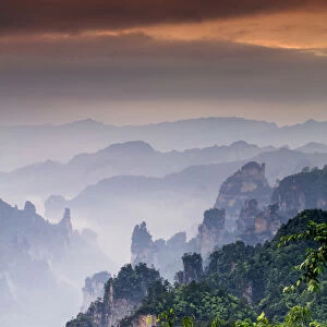 China, Hunan, Zhangjiajie National Forest Park, also called the Halleluja mountains