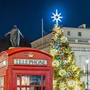 Christmas tree and red phone box, Mayfair, London, England, UK